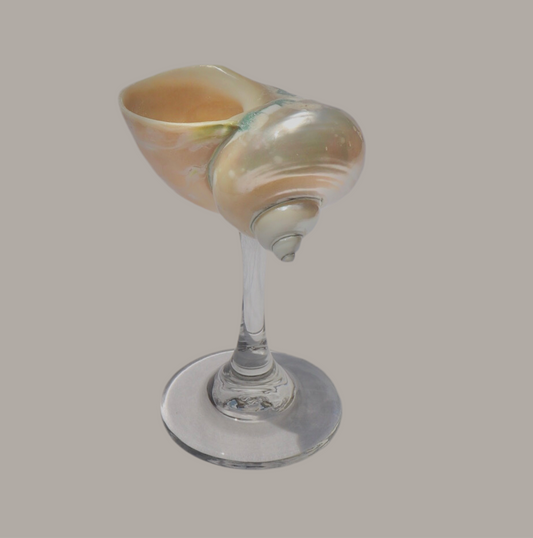 Pearl Jade Shell-glass