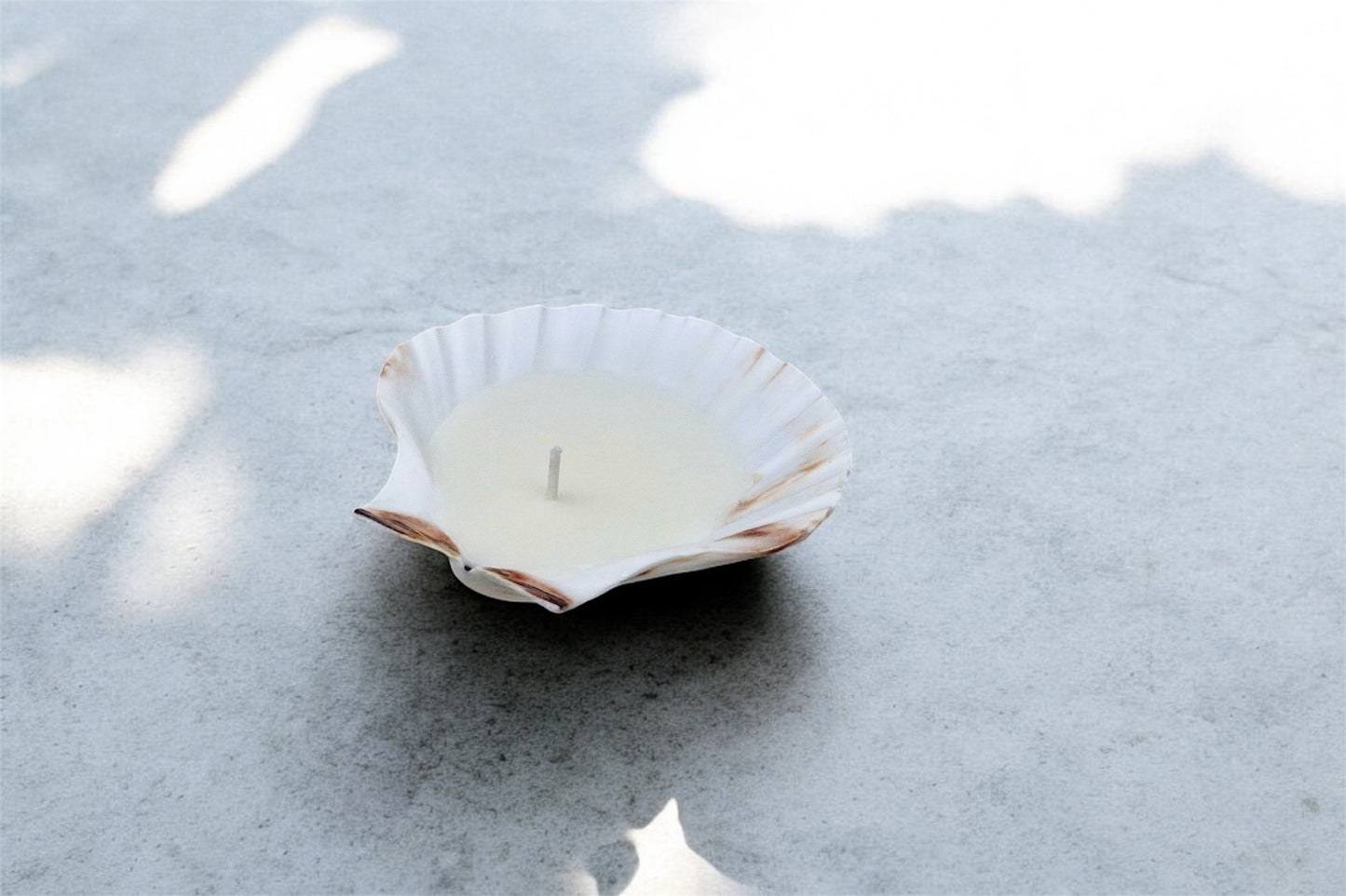 Scallop Shell Candle