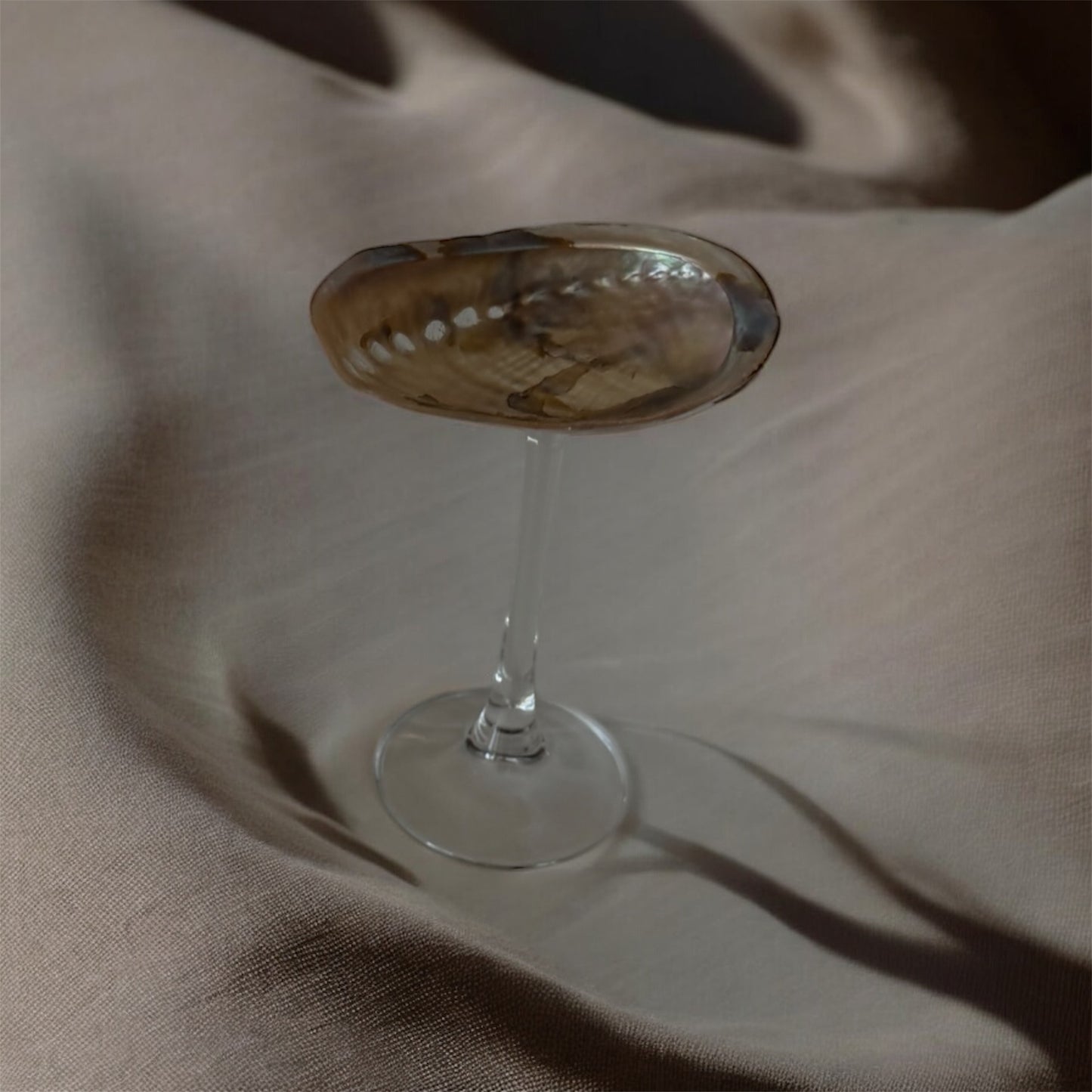 Petite Abalone Coupe