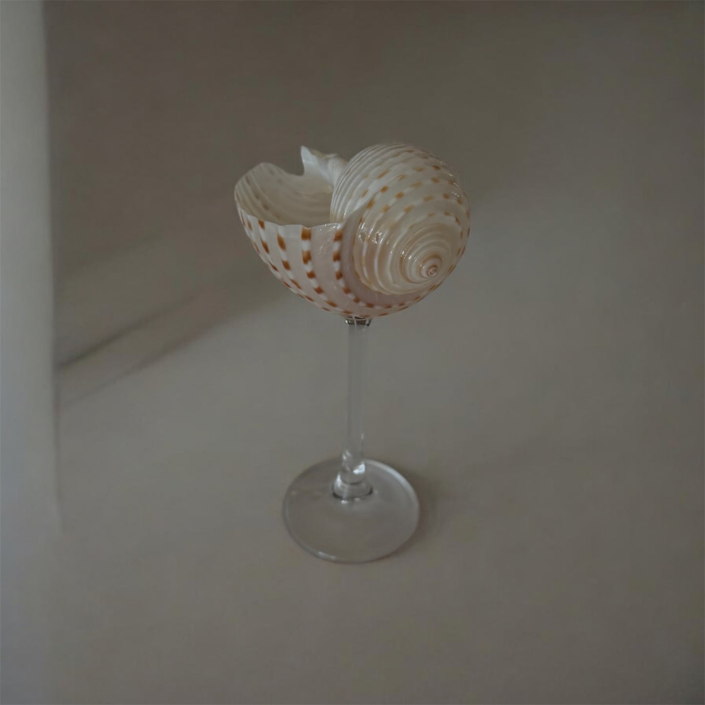 Caracol glass