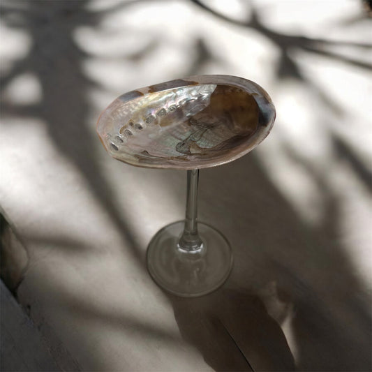 Petite Abalone Coupe