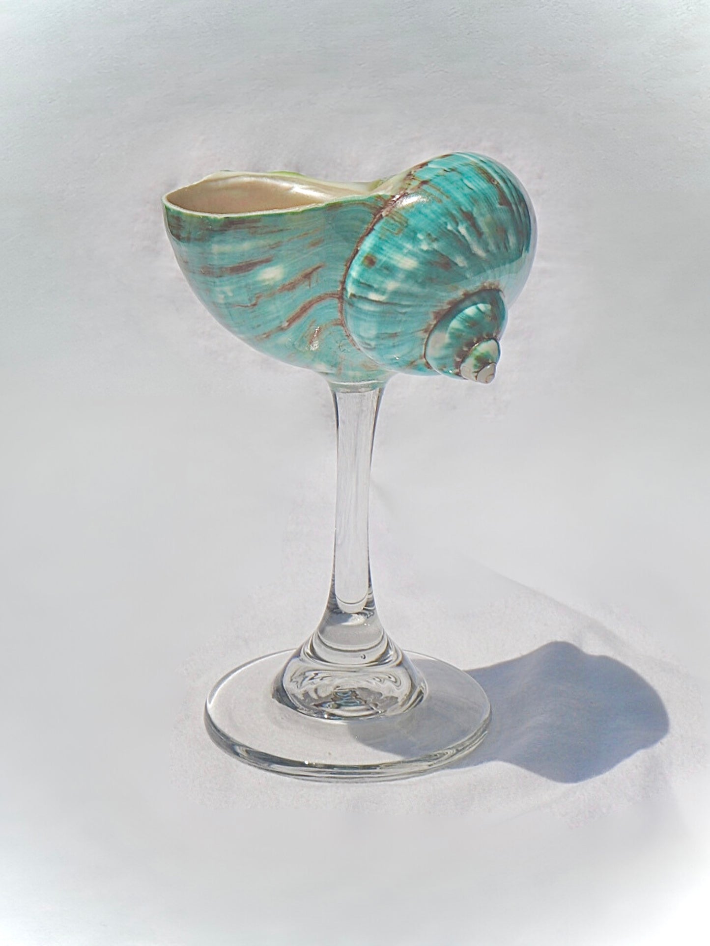 Aqua Green Seashell Glass