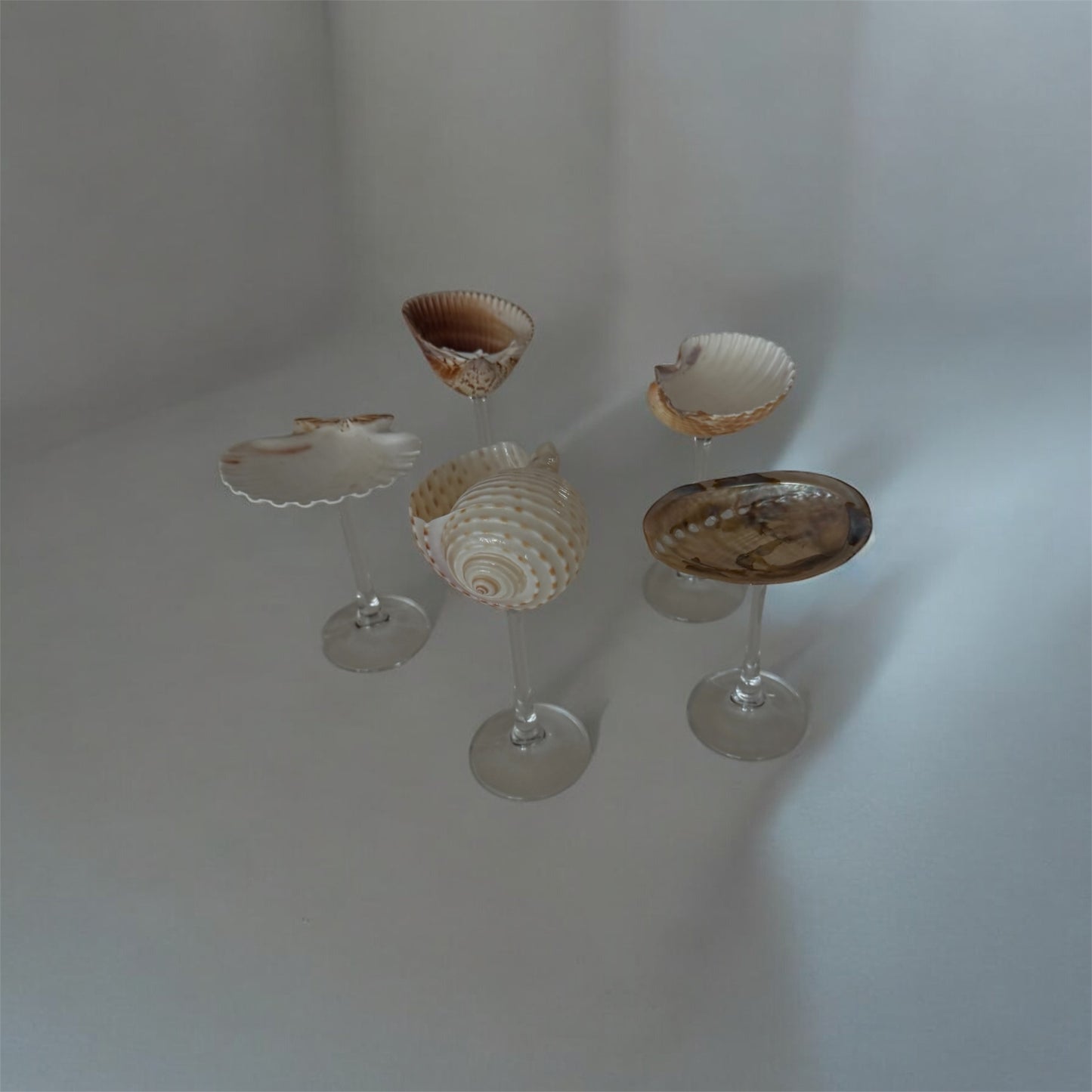 Shell glassware set