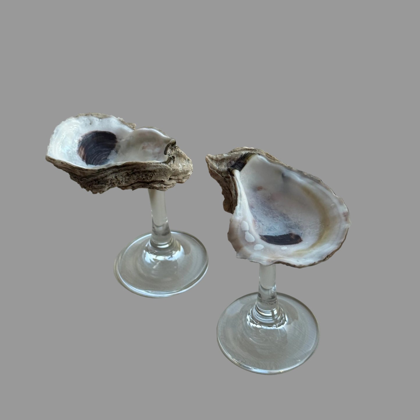 Oyster glass