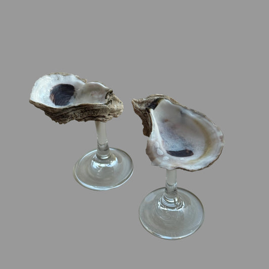 Oyster glass
