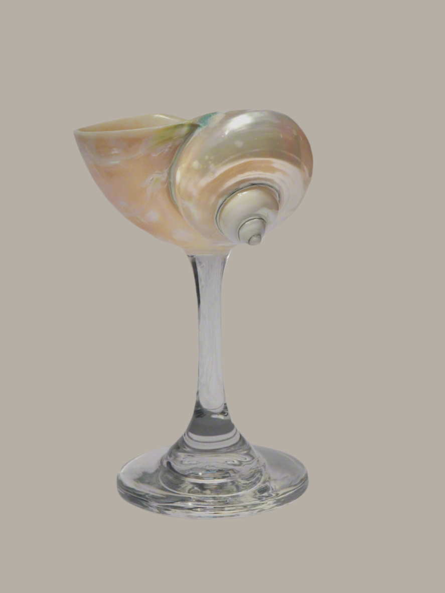 Pearl Jade Shell-glass