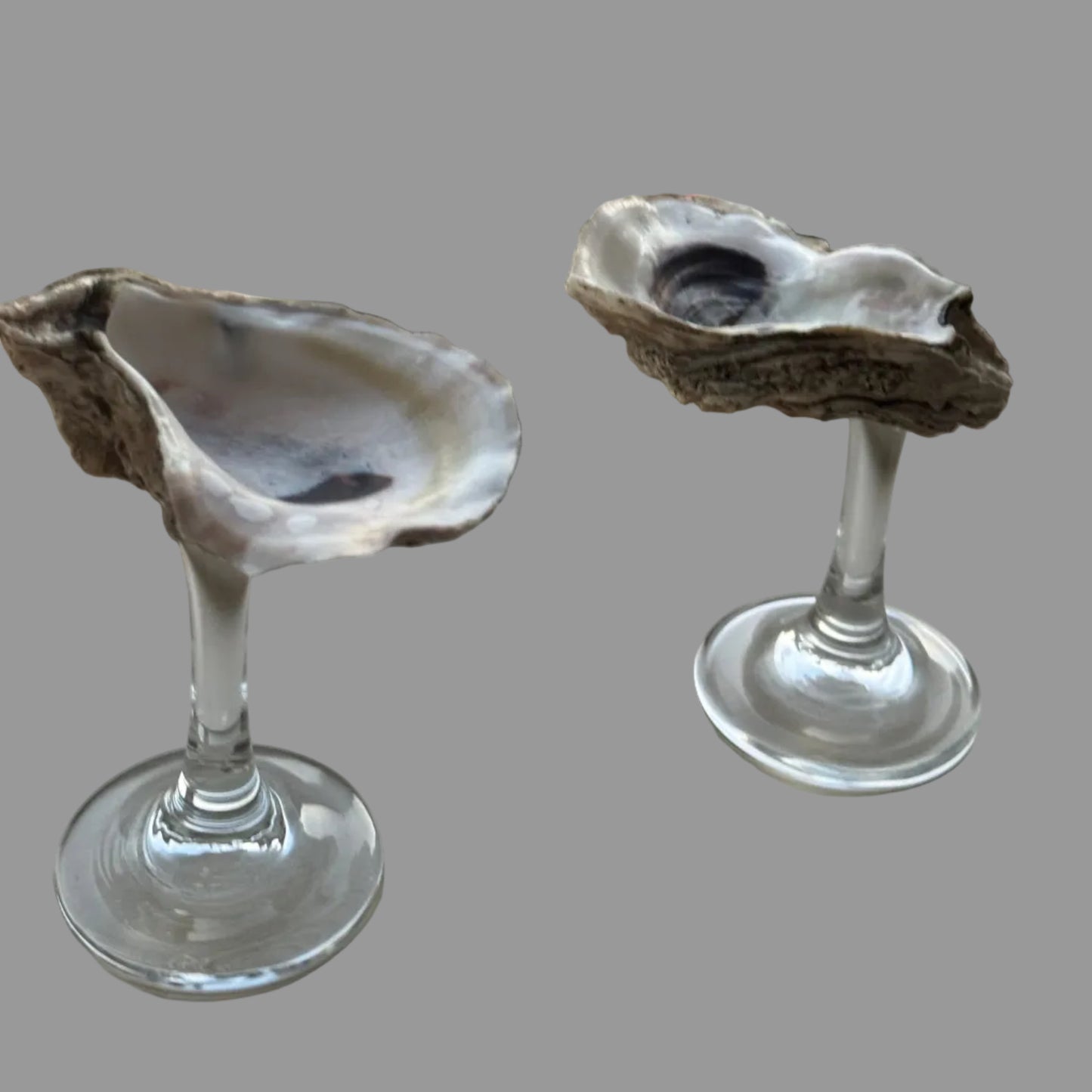 Oyster glass