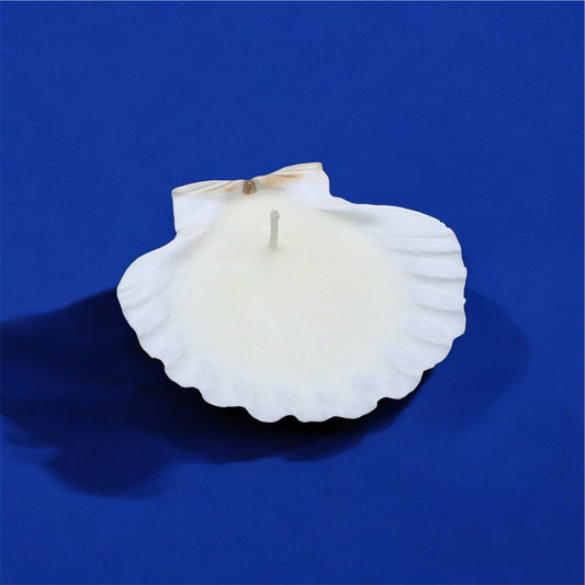 Scallop Shell Candle