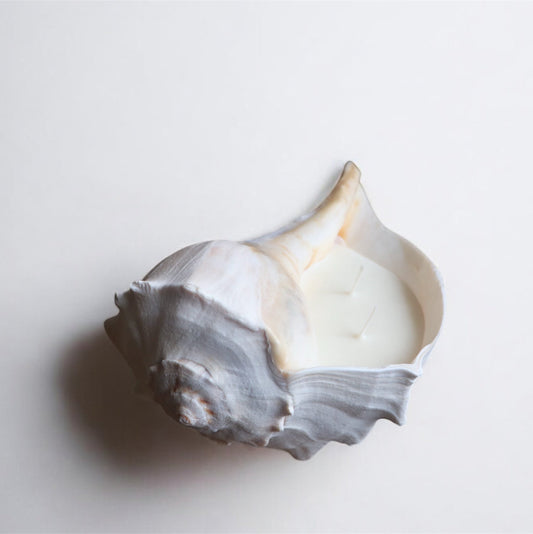 The Whelk Candle