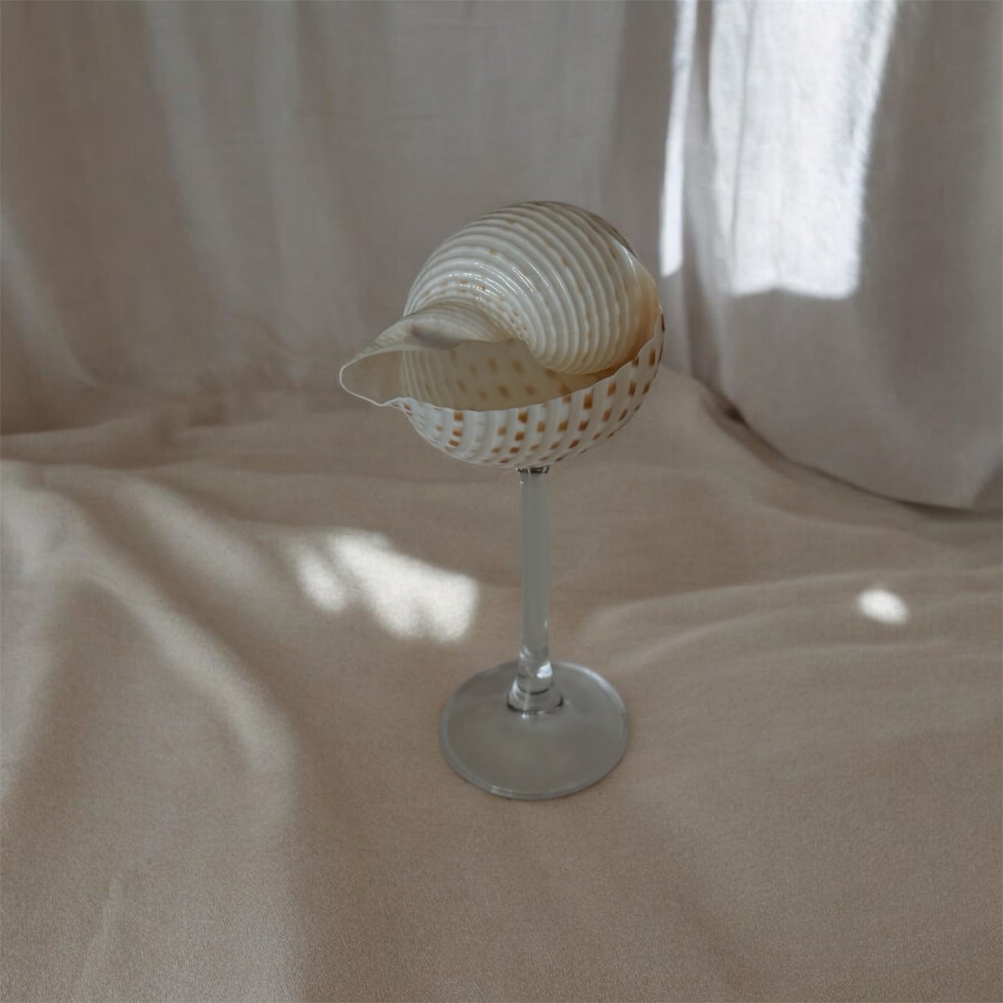 Caracol glass