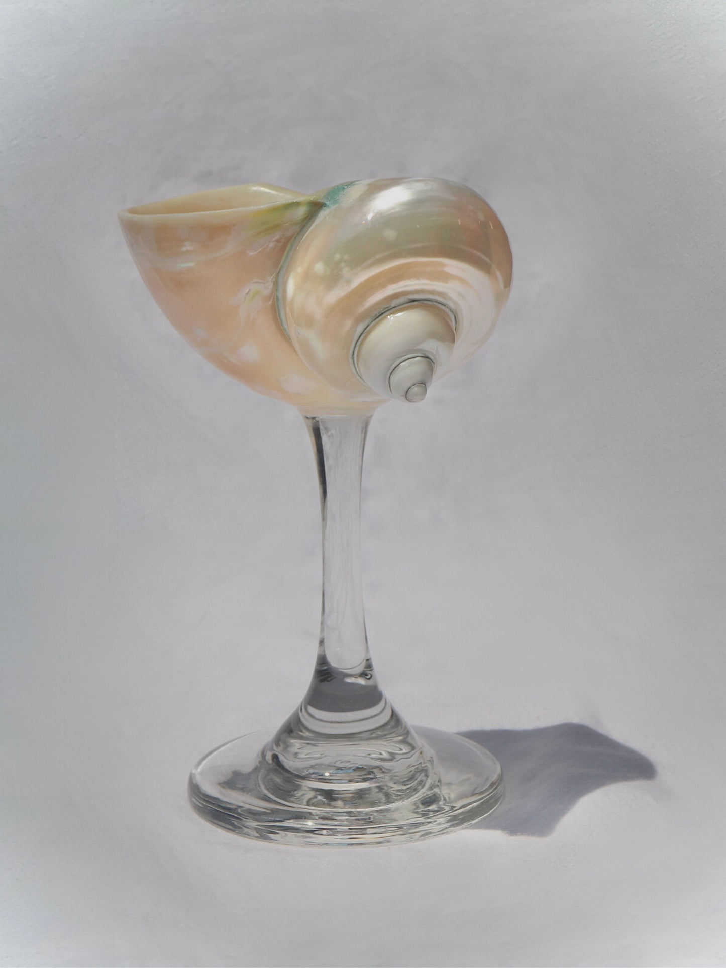 Pearl Jade Shell-glass