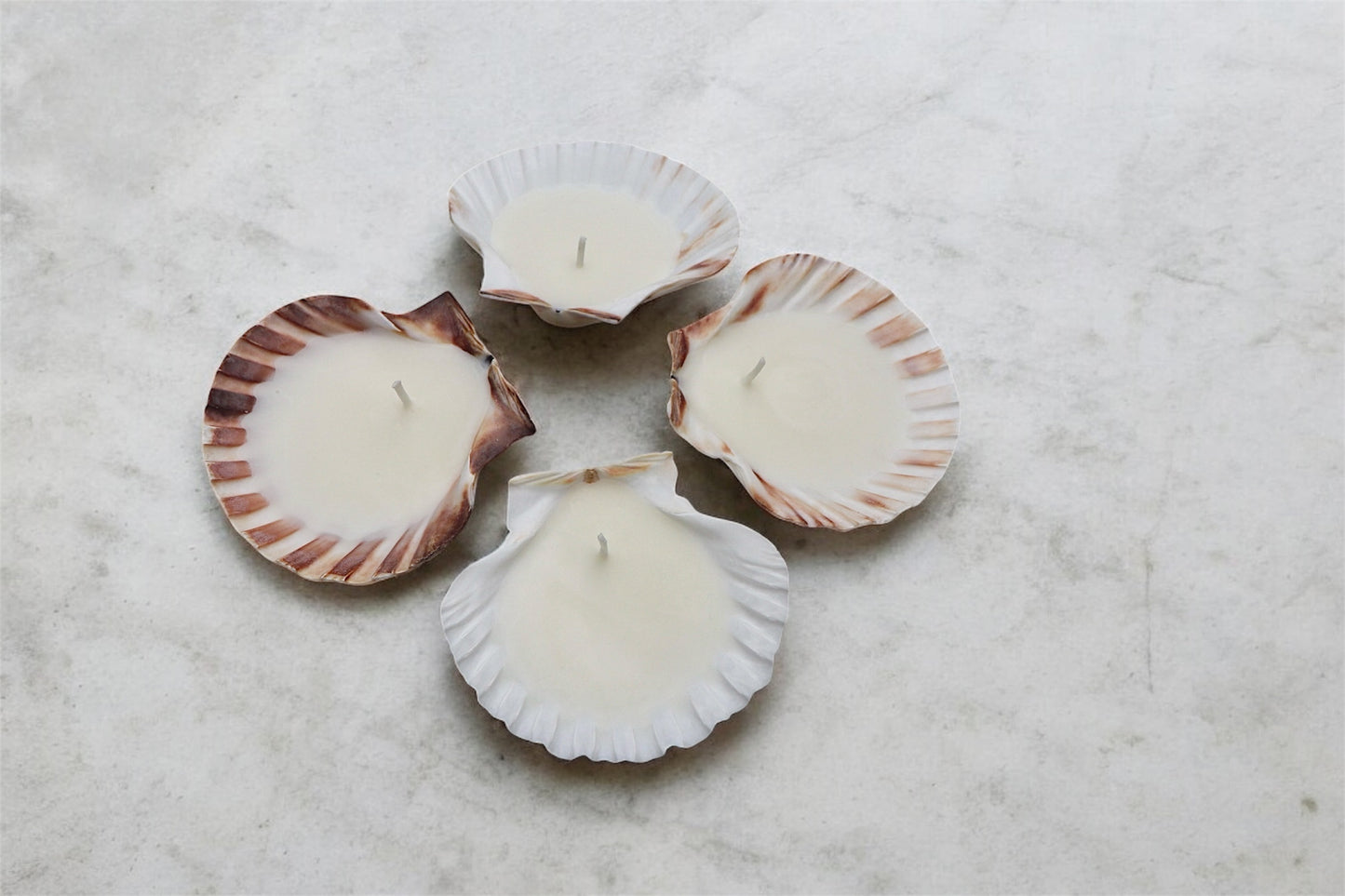 Scallop Shell Candle