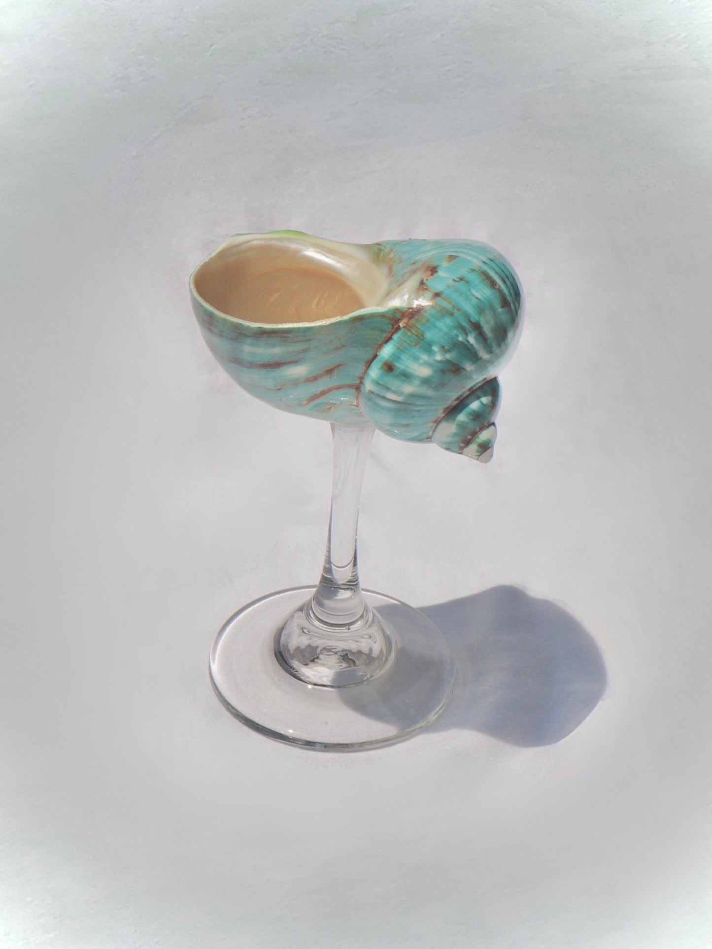 Aqua Green Seashell Glass