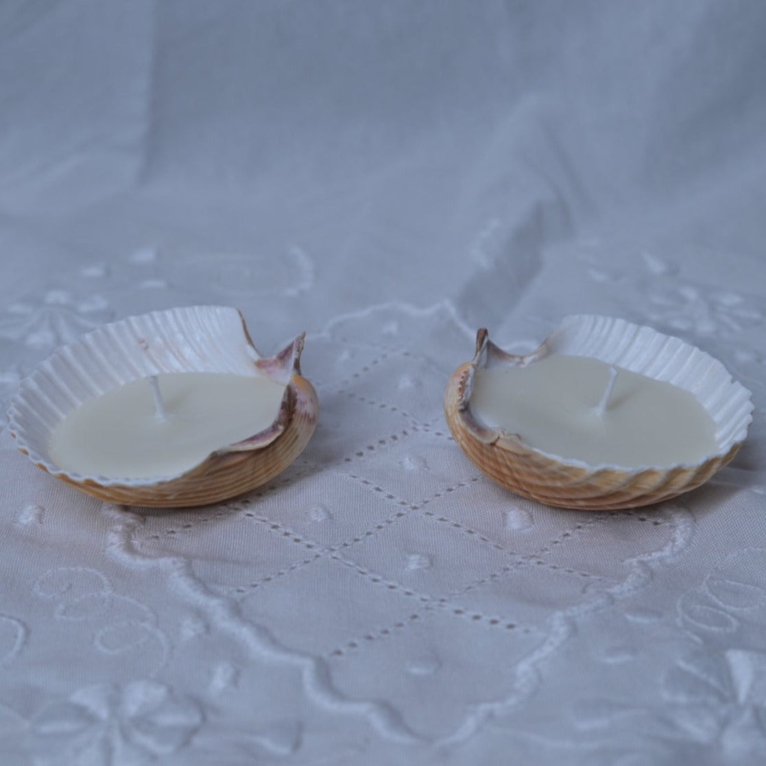 Seashell Tea Light