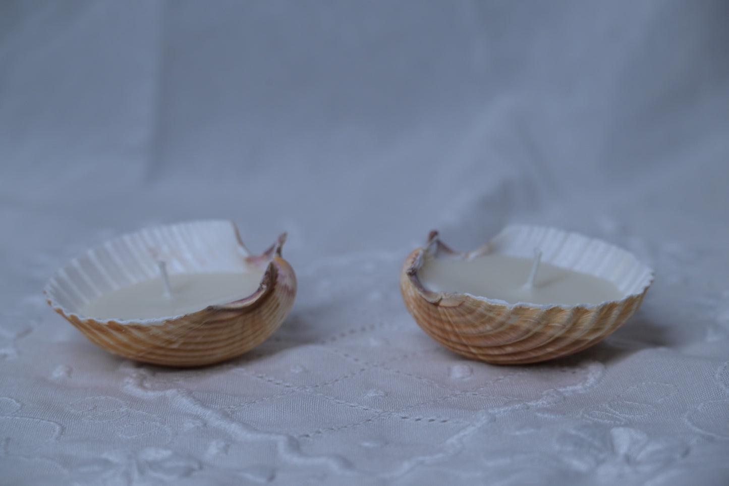 Seashell Tea Light