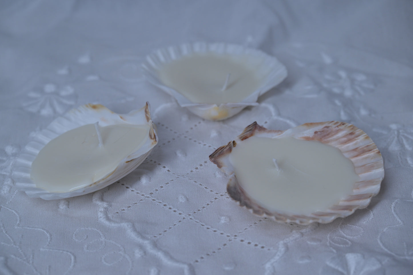 Scallop Shell Candle