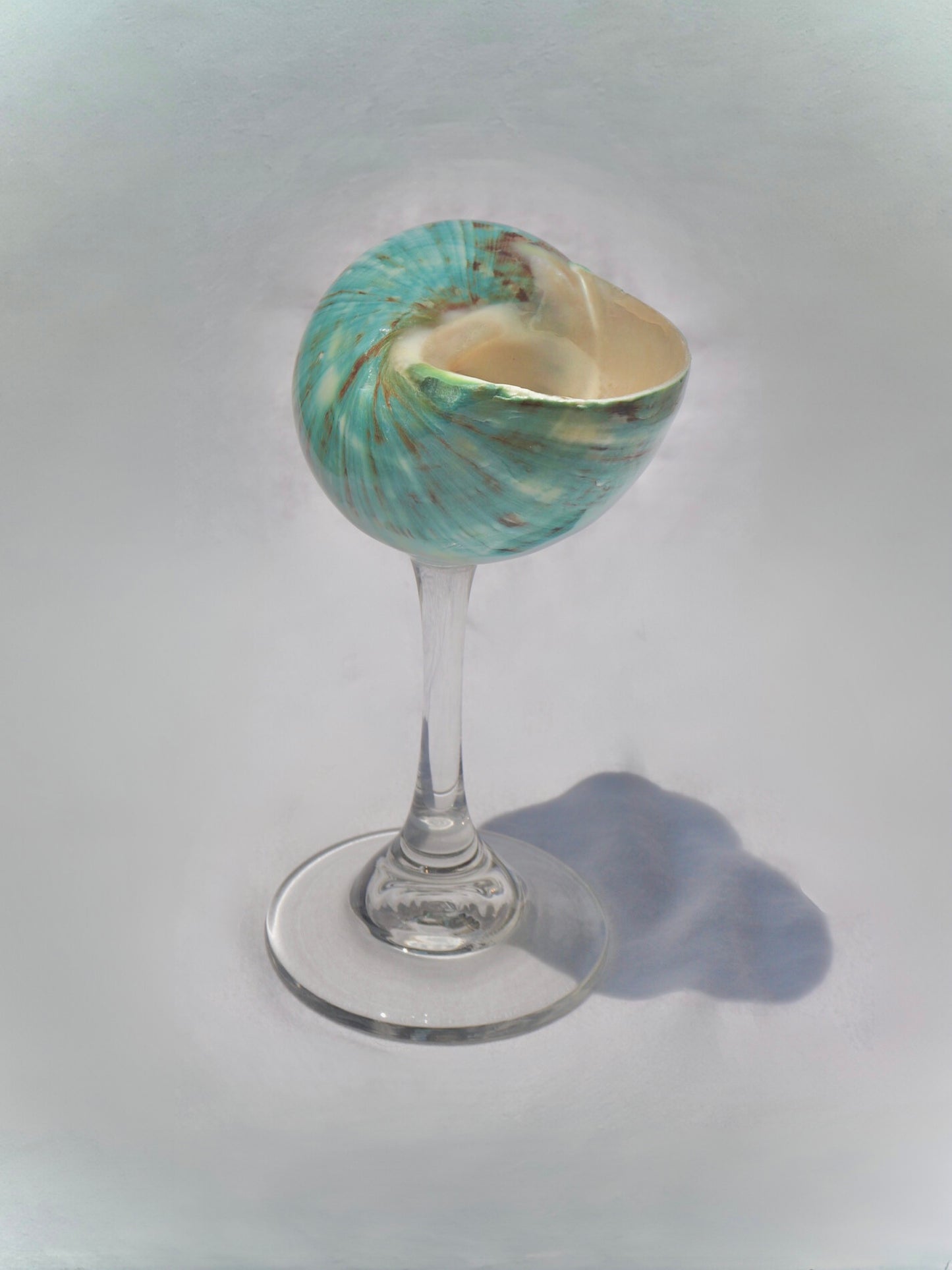 Aqua Green Seashell Glass