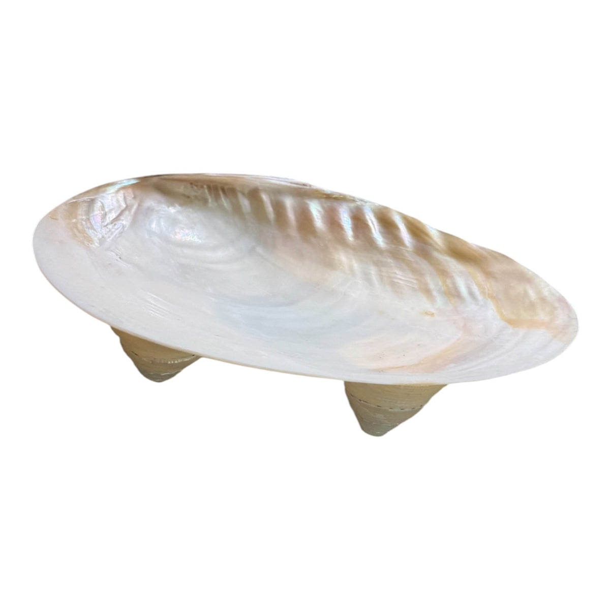 Mother of pearl dish