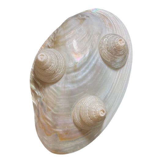 Mother of pearl dish