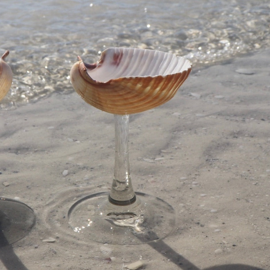 Seashell Coupe Glass