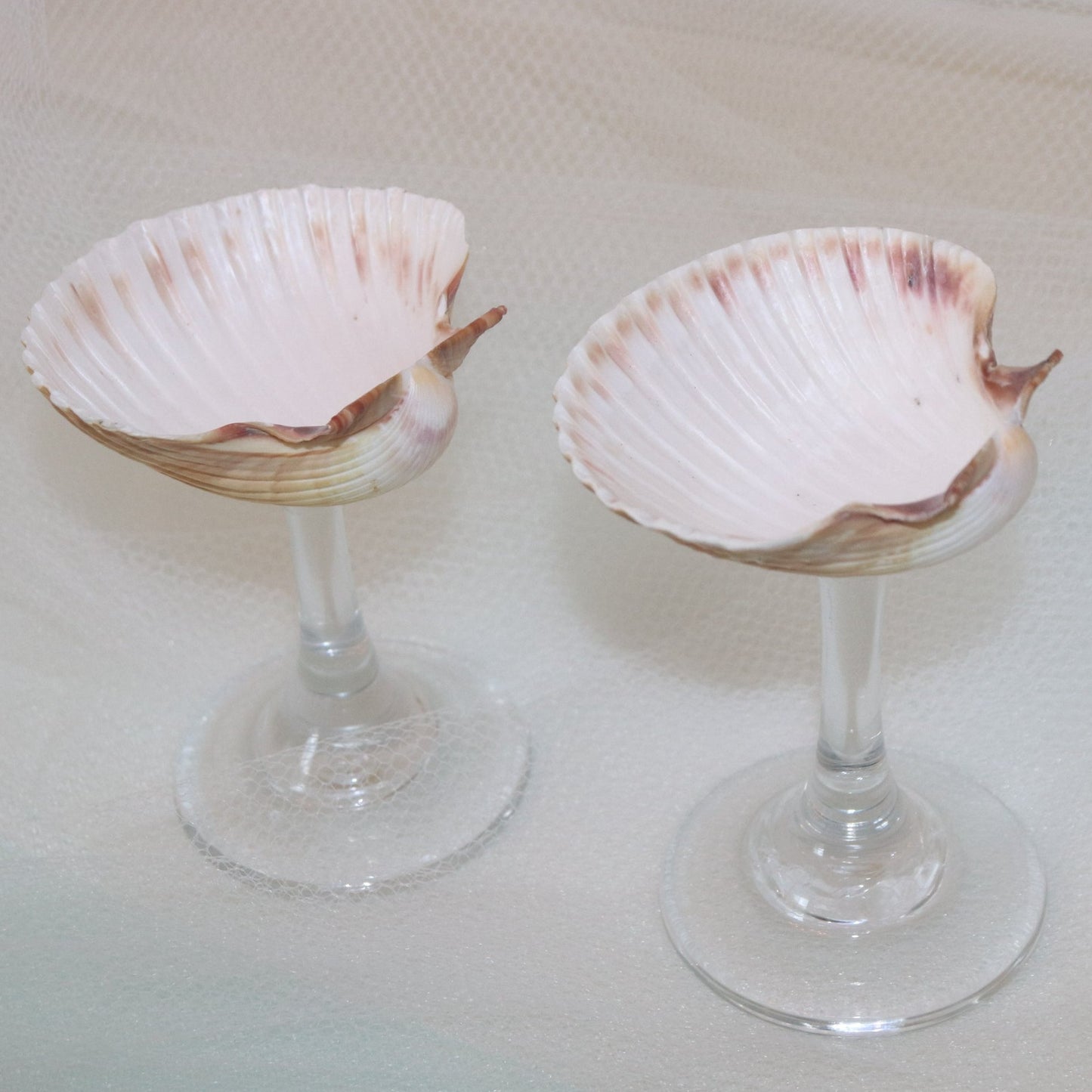 Seashell Coupe Glass