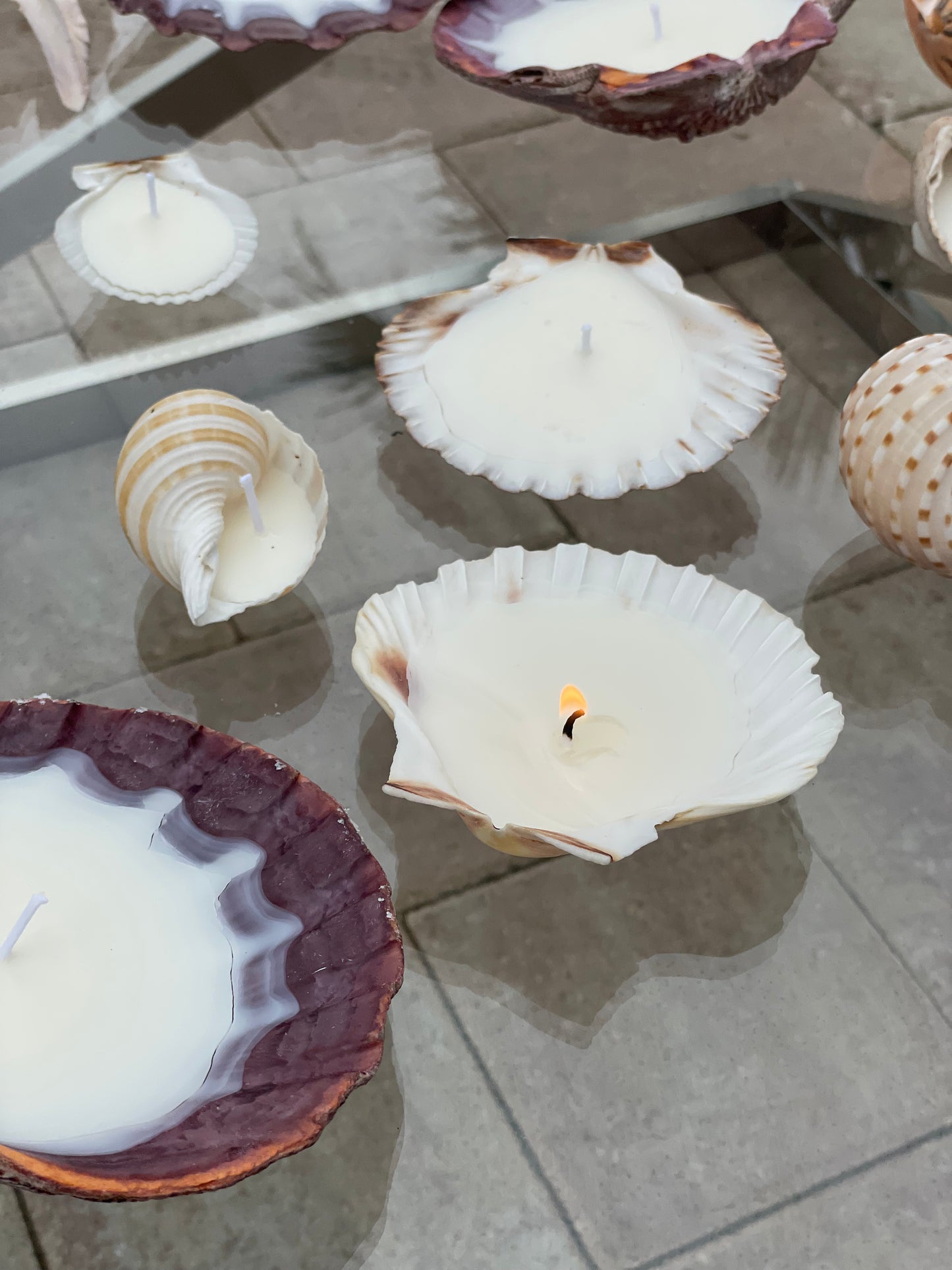 Scallop Shell Candle