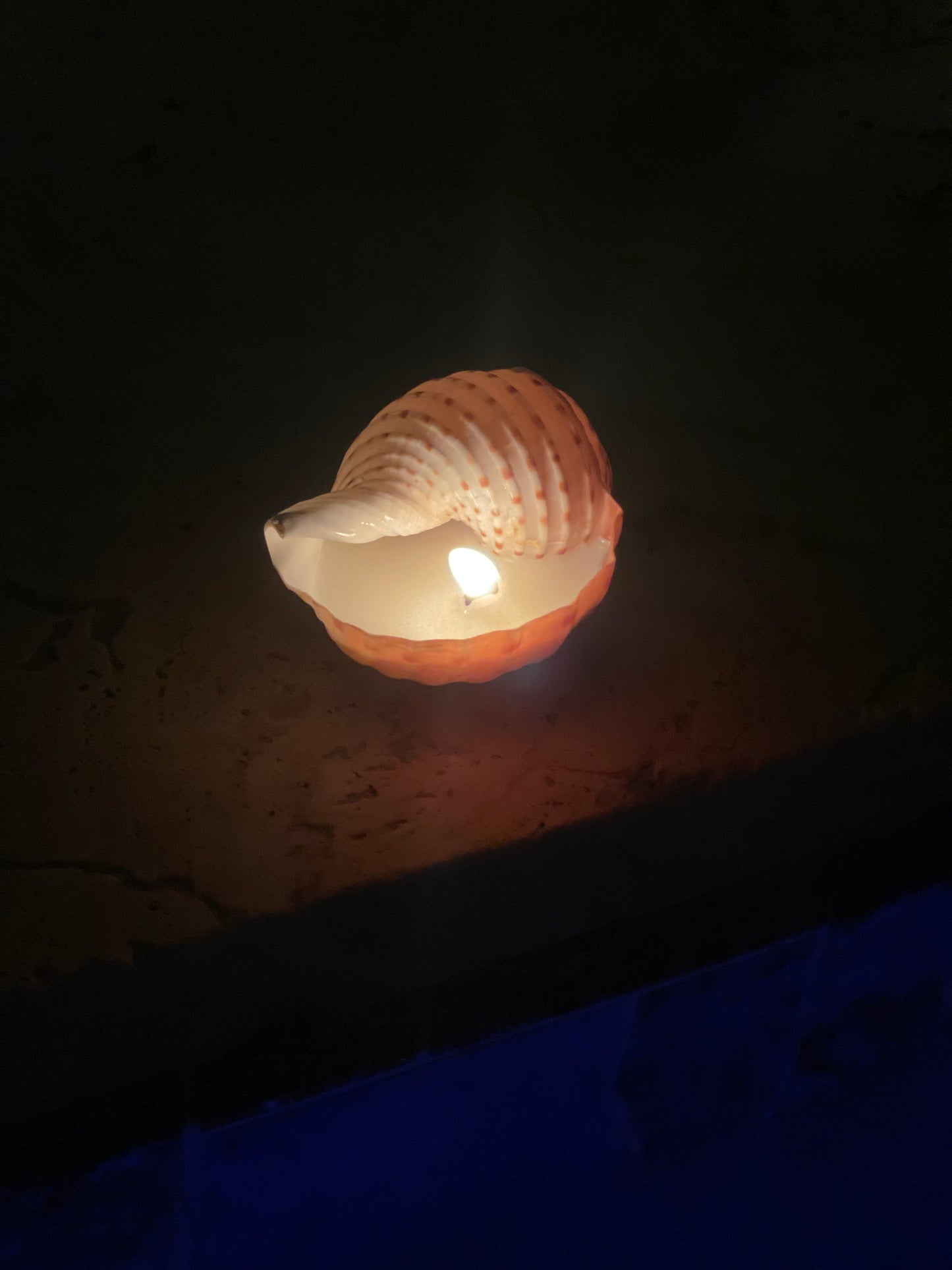 Caracol ࿓ Candle