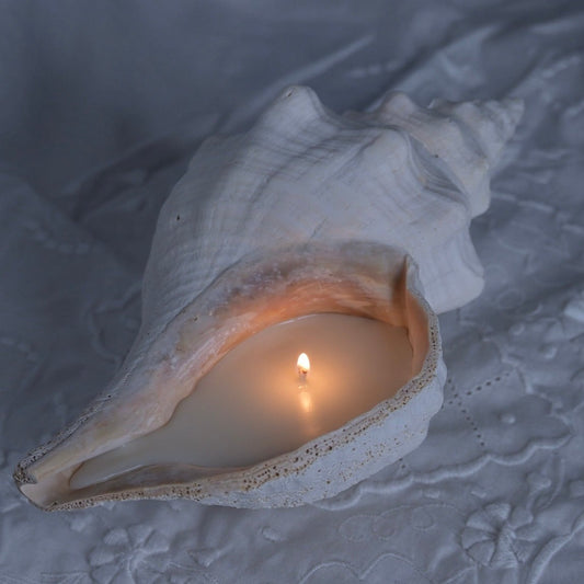 Conch Candle