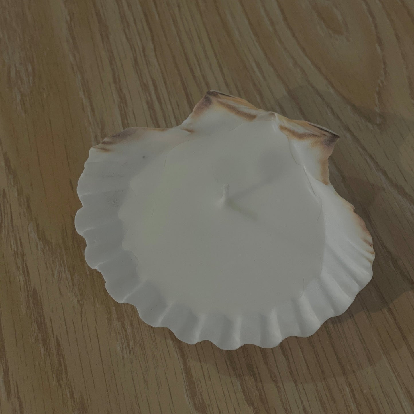 Scallop Shell Candle